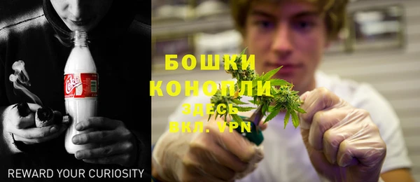 бошки Алексин