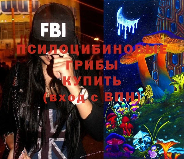 бошки Алексин